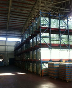 弗里生 天津 乳制品 食品科學(xué)與生物工程學(xué)院