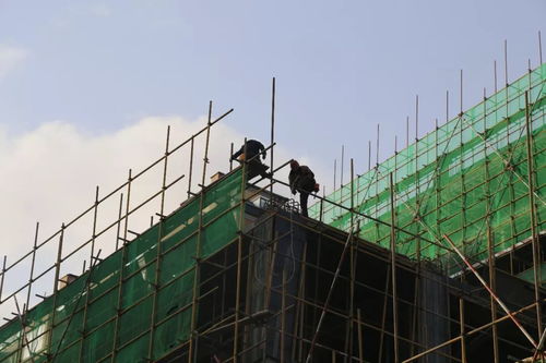 嘉澤 陽光天地丨辛苦了,建筑工人們 內(nèi)附最新工程進度