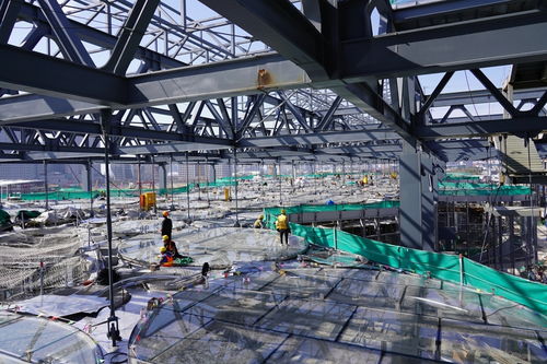 進入歷史重大工程投資強度最高年，上海加大推進力度的三種路徑